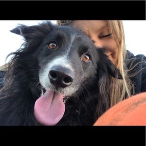 Meet your Posher, Karrisa